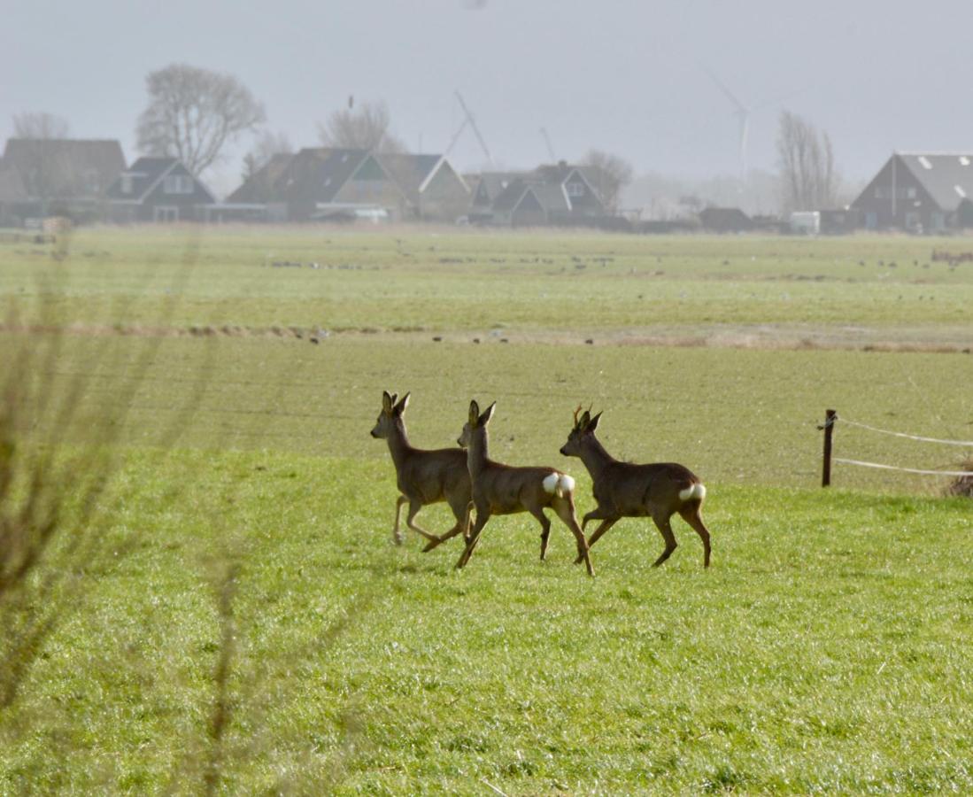 Het Melkhuis Op Prachtig Landgoed Koepeltjesplaats Gaast Exterior photo
